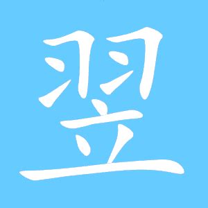 翌同音字|翌怎么读